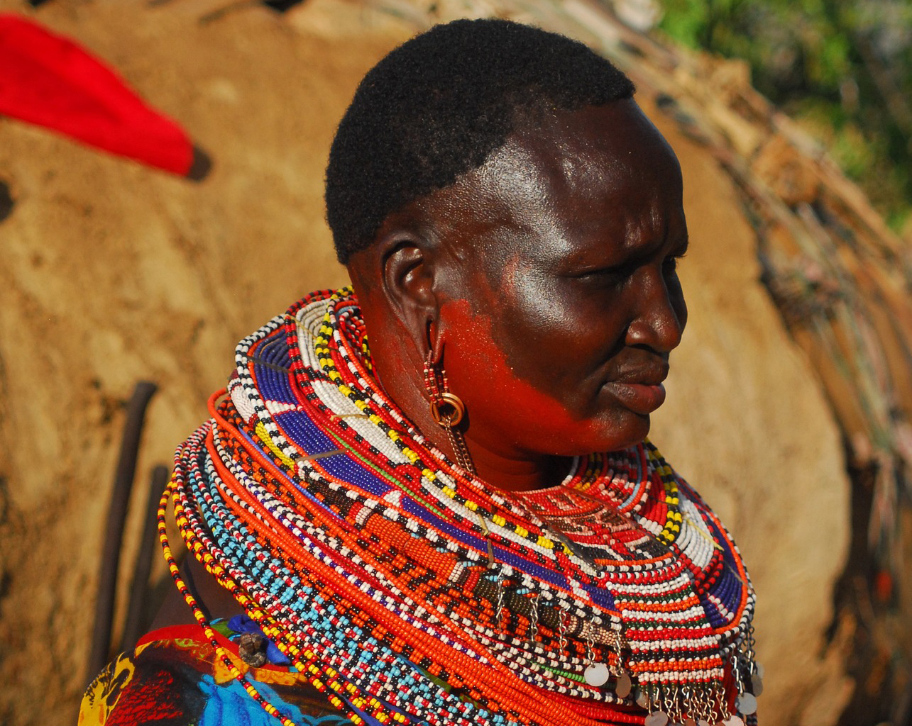 Empowering NGOs to Build Stronger Communities