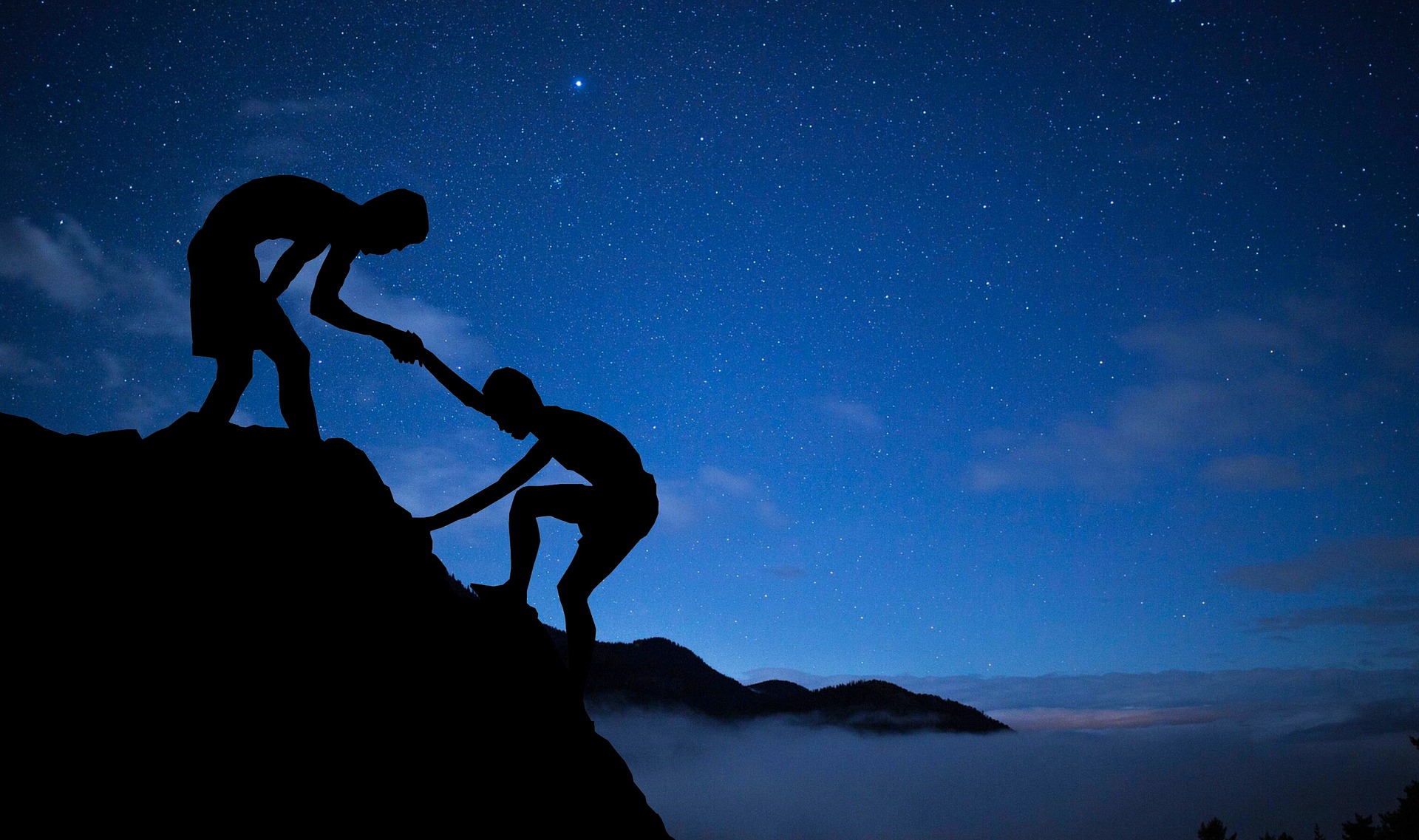 The Intersection of NGOs and Businesses: A Partnership for Growth
